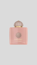 Guidance - Amouage