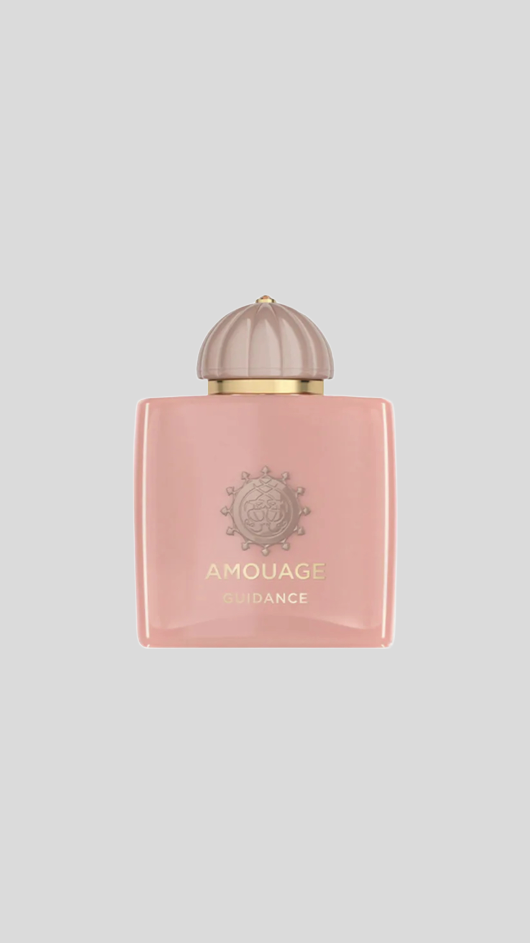 Guidance - Amouage
