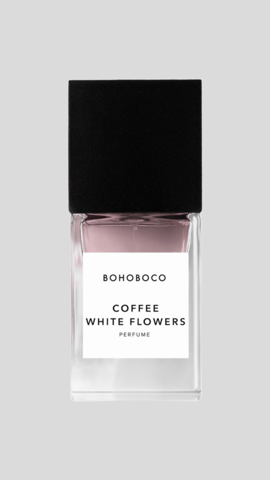 Coffee White Flowers - Bohoboco
